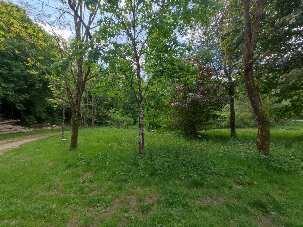 Arboretum de la Chapelle du Bonlieu